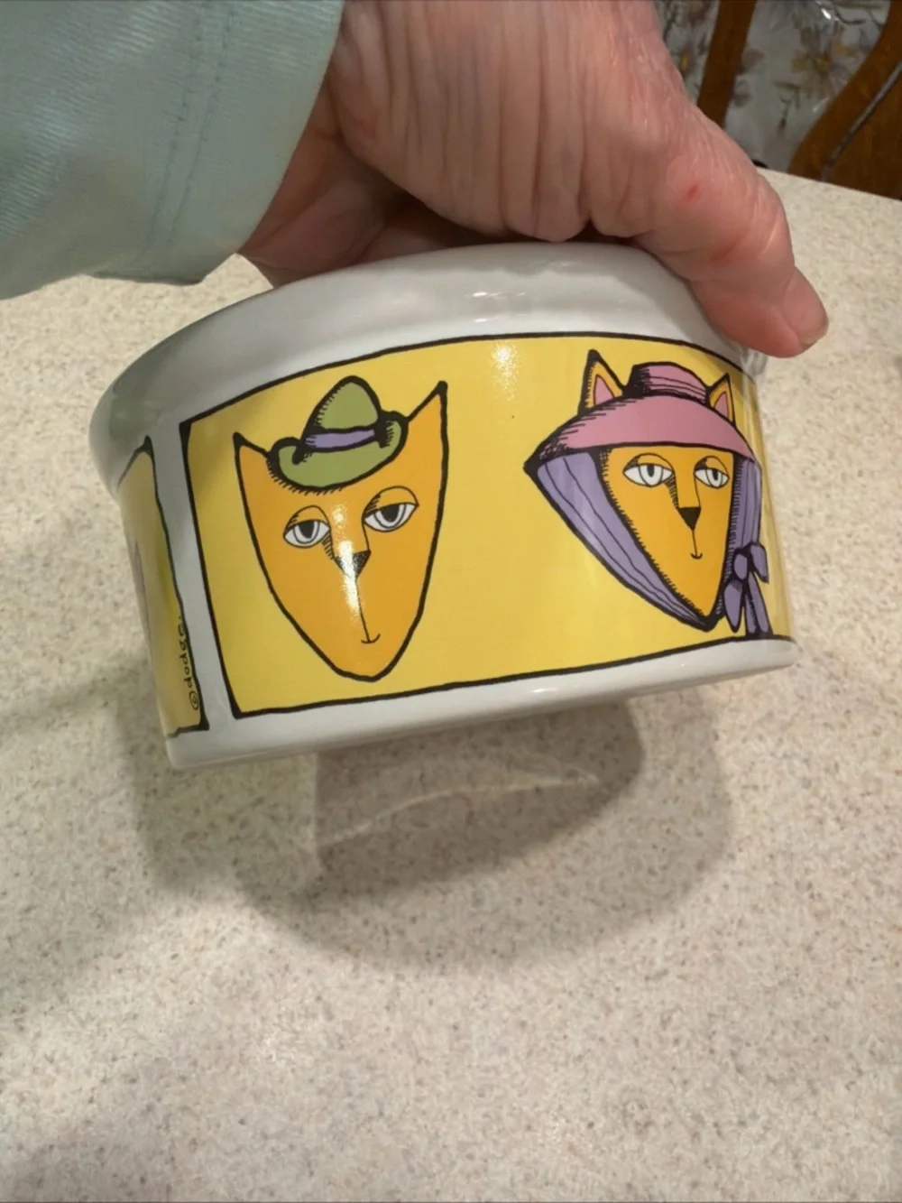 Signature Adventure Cat Stoneware Plate in White